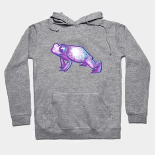 Pastel Frog Hoodie